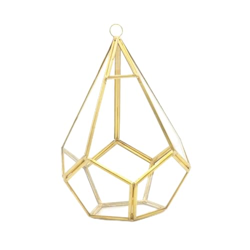 ROYJJ Goldenes Wand-Terrarium, geometrisches Terrarium, Innenöffnung, Polyeder, Tischplatte, Fensterbank, Balkon, Pflanzenhalter, Behälterdekoration von ROYJJ