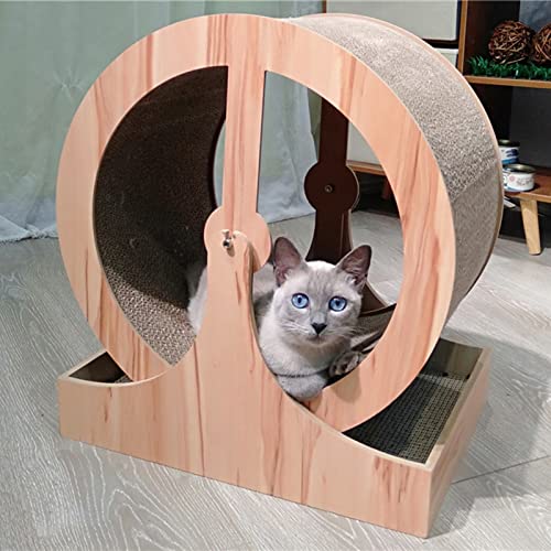 ROYUMI katzenlaufrad Kratzbrett Katzenlaufrad, Katzenlaufband Zum Abnehmen, Hamsterrad für Katzen Kleine Hunde, Haustier Katze Laufrad Kratzbrett ROYUMI katzenlaufrad Kratzbrett Katzenlaufrad, Katzenlaufband Zum Abnehmen, Hamsterrad für Katzen Kleine Hunde, Haustier Katze Laufrad Kratzbrett von ROYUMI