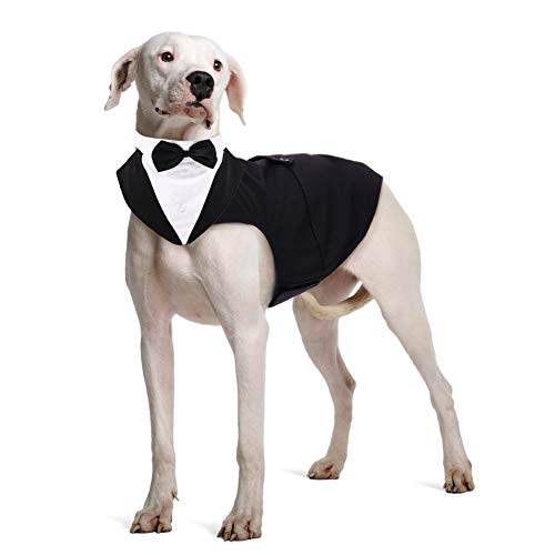 Formaler Smokinganzug für Hunde, mit Schwanz, für Hochzeiten, Partys, Outfit, abnehmbare schwarze Fliege, Bandana, Gentleman, 2XL(Chest:31.49-38.58 inch Back Length:23.62 inch), schwarz von ROZKITCH