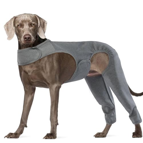 ROZKITCH Chirurgische Genesungsmanschette für Hunde, hinten rechts und links, schützt vor Lecken von Wunden, Ellenbogenbandage, Genesungsanzug, Kegelhalsband, Alternative für Verstauchungen, ACL, CCL, ROZKITCH Chirurgische Genesungsmanschette für Hunde, hinten rechts und links, schützt vor Lecken von Wunden, Ellenbogenbandage, Genesungsanzug, Kegelhalsband, Alternative für Verstauchungen, ACL, CCL, von ROZKITCH