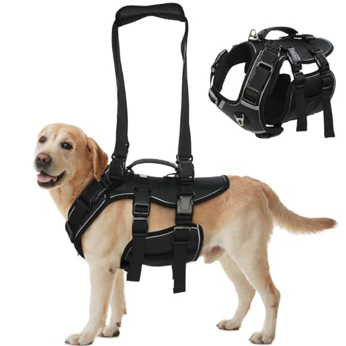 ROZKITCH Dog Lift Harness, Pet Chest Rear Support Aid Veterinarian Approved Sling for Old K9 Help with Poor Stability, Back Leg Hip Disabled Joint Injury Elderly Arthritis ACL Rehabilitation Reha M von ROZKITCH