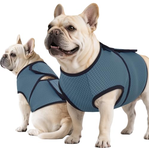 ROZKITCH Hunde-Angst-Shirt, beruhigende Jacke, Netzstoff, Hunde-Angstweste für Gewitter, Feuerwerk, Reisen, Tierarzt, Besuch, Trennung, Angstlinderung, für drinnen und draußen, elastisch, atmungsaktiv von ROZKITCH