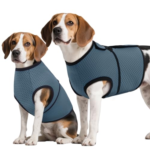 ROZKITCH Hunde-Angst-Shirt, beruhigende Jacke, Netzstoff, Hunde-Angstweste für Gewitter, Feuerwerk, Reisen, Tierarzt, Besuch, Trennung, Angstlinderung, für drinnen und draußen, elastisch, atmungsaktiv von ROZKITCH