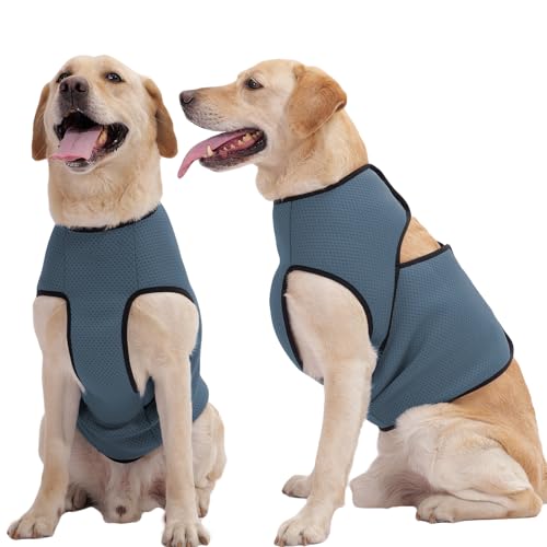 ROZKITCH Hunde-Angst-Shirt, beruhigende Jacke, Netzstoff, Hunde-Angstweste für Gewitter, Feuerwerk, Reisen, Tierarzt, Besuch, Trennung, Angstlinderung, für drinnen und draußen, elastisch, atmungsaktiv von ROZKITCH