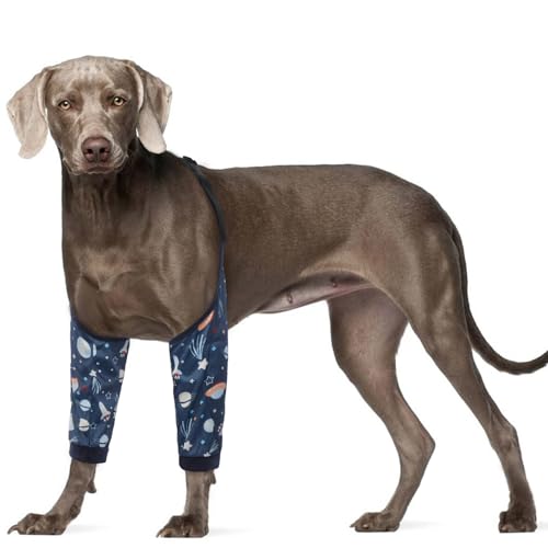 ROZKITCH Hunde-Chirurgie-Erholungshülse für Vorderbeine, Haustier-Verhindert das Lecken von Wunden und Ellenbogenbandage, Hundebeinmanschette zum Stoppen des Lecken, ACL CCL Arthritis, Blau 3XL ROZKITCH Hunde-Chirurgie-Erholungshülse für Vorderbeine, Haustier-Verhindert das Lecken von Wunden und Ellenbogenbandage, Hundebeinmanschette zum Stoppen des Lecken, ACL CCL Arthritis, Blau 3XL von ROZKITCH