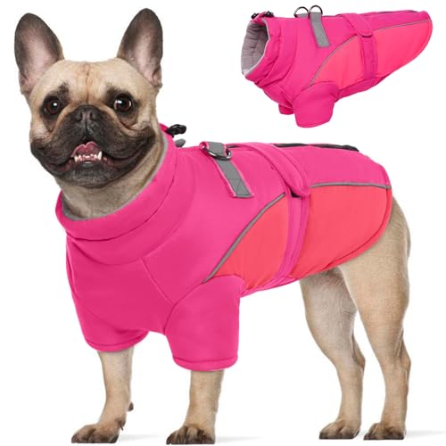 ROZKITCH Hunde-Wintermantel, Hundemantel für Herbst und Winter mit Rollkragen, Haustierkleidung mit verstellbarem Hüftgurt, weiche, warme Haustierkleidung mit reflektierendem Streifen für kleine, ROZKITCH Hunde-Wintermantel, Hundemantel für Herbst und Winter mit Rollkragen, Haustierkleidung mit verstellbarem Hüftgurt, weiche, warme Haustierkleidung mit reflektierendem Streifen für kleine, von ROZKITCH