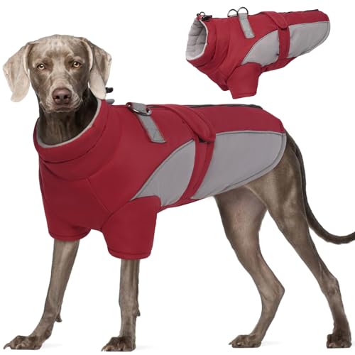 ROZKITCH Hunde-Wintermantel, Hundemantel für Herbst und Winter mit Rollkragen, Haustierkleidung mit verstellbarem Hüftgurt, weiche, warme Haustierkleidung mit reflektierendem Streifen für kleine, ROZKITCH Hunde-Wintermantel, Hundemantel für Herbst und Winter mit Rollkragen, Haustierkleidung mit verstellbarem Hüftgurt, weiche, warme Haustierkleidung mit reflektierendem Streifen für kleine, von ROZKITCH