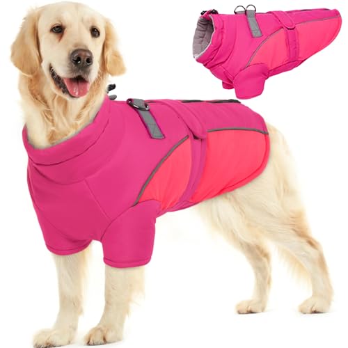 ROZKITCH Hunde-Wintermantel, Hundemantel für Herbst und Winter mit Rollkragen, Haustierkleidung mit verstellbarem Hüftgurt, weiche, warme Haustierkleidung mit reflektierendem Streifen für kleine, ROZKITCH Hunde-Wintermantel, Hundemantel für Herbst und Winter mit Rollkragen, Haustierkleidung mit verstellbarem Hüftgurt, weiche, warme Haustierkleidung mit reflektierendem Streifen für kleine, von ROZKITCH