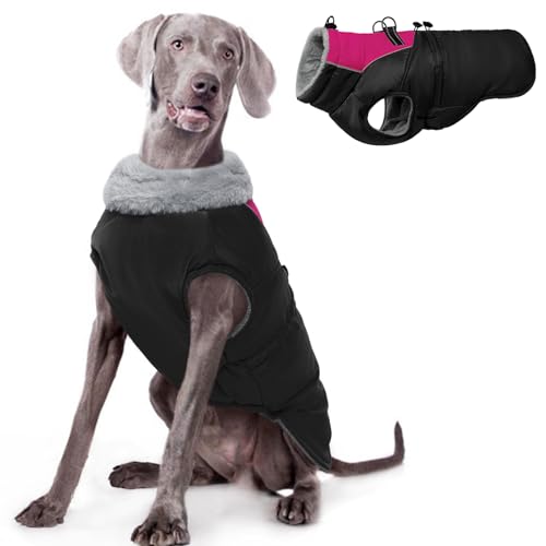 ROZKITCH Hundejacke für kaltes Wetter, Hundemantel für Herbst und Winter mit Rollkragen, Haustierkleidung mit verstellbaren Schnallen, weiche, warme Haustierkleidung mit reflektierendem Streifen für ROZKITCH Hundejacke für kaltes Wetter, Hundemantel für Herbst und Winter mit Rollkragen, Haustierkleidung mit verstellbaren Schnallen, weiche, warme Haustierkleidung mit reflektierendem Streifen für von ROZKITCH