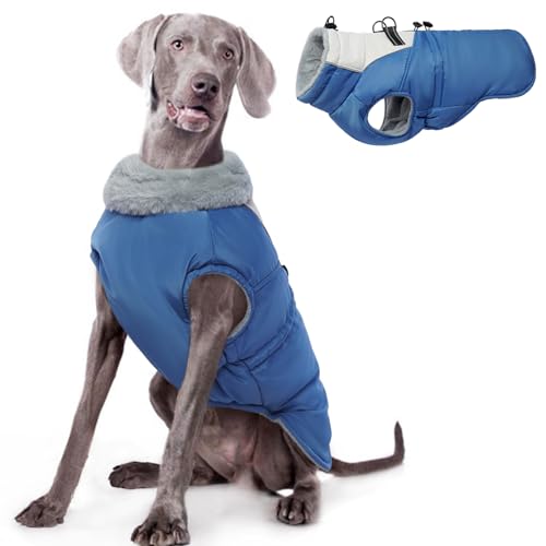 ROZKITCH Hundejacke für kaltes Wetter, Hundemantel für Herbst und Winter mit Rollkragen, Haustierkleidung mit verstellbaren Schnallen, weiche, warme Haustierkleidung mit reflektierendem Streifen für ROZKITCH Hundejacke für kaltes Wetter, Hundemantel für Herbst und Winter mit Rollkragen, Haustierkleidung mit verstellbaren Schnallen, weiche, warme Haustierkleidung mit reflektierendem Streifen für von ROZKITCH
