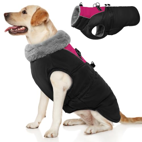 ROZKITCH Hundejacke für kaltes Wetter, Hundemantel für Herbst und Winter mit Rollkragen, Haustierkleidung mit verstellbaren Schnallen, weiche, warme Haustierkleidung mit reflektierendem Streifen für ROZKITCH Hundejacke für kaltes Wetter, Hundemantel für Herbst und Winter mit Rollkragen, Haustierkleidung mit verstellbaren Schnallen, weiche, warme Haustierkleidung mit reflektierendem Streifen für von ROZKITCH