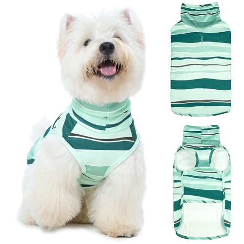 ROZKITCH Hundepullover für kleine, mittelgroße Hunde, männlich, Jungen, Mädchen, weicher, dehnbarer Rollkragenpullover mit Loch für die Leine, warmer Wintermantel für mittelgroße Hunde, gestreift von ROZKITCH
