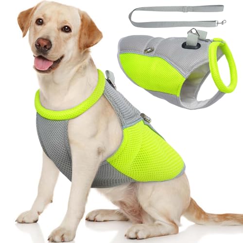 ROZKITCH Kühlweste für Hunde mit Leine, Hundegeschirr, Kühljacke mit V-Ring, leichte Verdunstungskühlweste für Sommer, heißes Wetter, Outdoor, Wandern, Wandern, Camping, Training, Jagd, Grau, Größe XL ROZKITCH Kühlweste für Hunde mit Leine, Hundegeschirr, Kühljacke mit V-Ring, leichte Verdunstungskühlweste für Sommer, heißes Wetter, Outdoor, Wandern, Wandern, Camping, Training, Jagd, Grau, Größe XL von ROZKITCH
