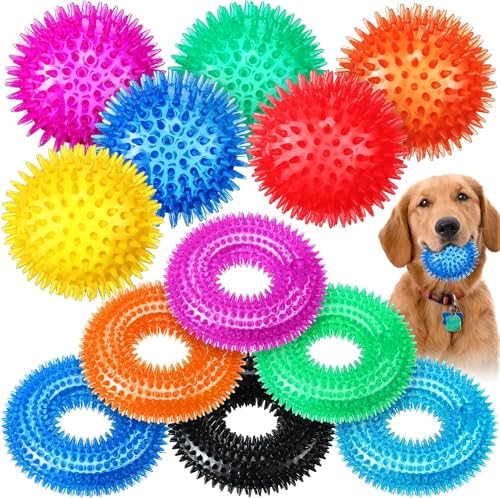RPixc 24 Stück quietschende Hundebälle, Hunde-Donuts, Kauspielzeug, spitze Gummibälle, Welpenkauspielzeug, geeignet für kleine und mittelgroße Hunde von RPixc