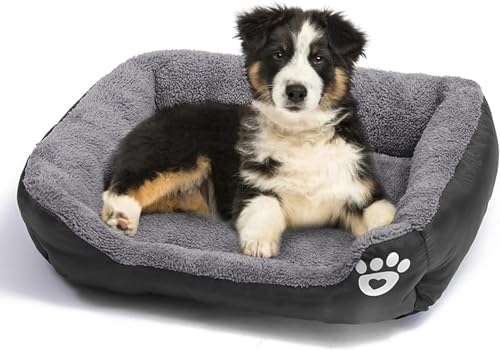 RPixc Kleines Hundebett – ruhiges rechteckiges kleines orthopädisches Hunde- und Katzenbett – waschbar, weich und langlebig, kleines Hunde- und Haustierbett mit rutschfester und wasserdichter RPixc Kleines Hundebett – ruhiges rechteckiges kleines orthopädisches Hunde- und Katzenbett – waschbar, weich und langlebig, kleines Hunde- und Haustierbett mit rutschfester und wasserdichter von RPixc