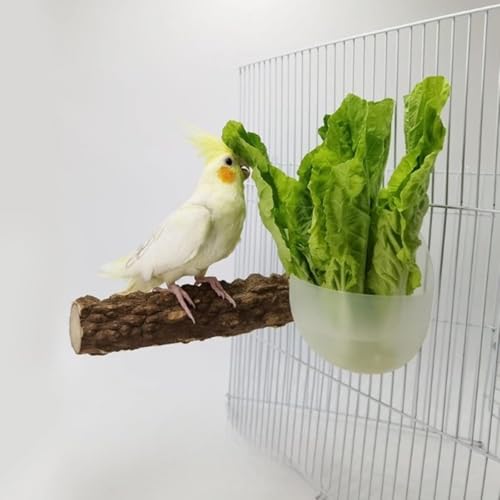 RPixc Vogelfutterstation für Papageien mit Holzständer Sitzstange Käfig Obst Gemüse Halter Gemüseregal Tierfutter Hängekörbe Papagei Obst Hängebehälter Käfig Hängekorb Container RPixc Vogelfutterstation für Papageien mit Holzständer Sitzstange Käfig Obst Gemüse Halter Gemüseregal Tierfutter Hängekörbe Papagei Obst Hängebehälter Käfig Hängekorb Container von RPixc