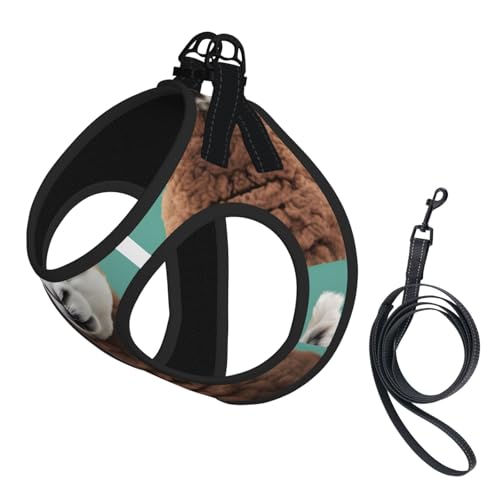 Hundegeschirr und Leine, Alpaka-Lama-Druck, weiches Netzgewebe, reflektierend, atmungsaktiv, leicht, Westen-Stil Hundegeschirr und Leine, Alpaka-Lama-Druck, weiches Netzgewebe, reflektierend, atmungsaktiv, leicht, Westen-Stil von RRSZCC