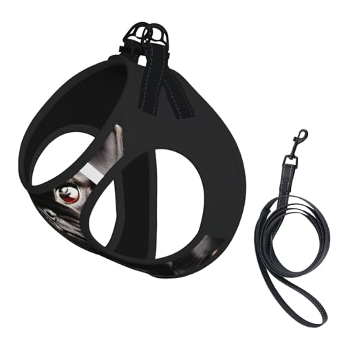 Hundegeschirr und Leine, Set mit süßem Mops-Motiv, weiches Netzgewebe, reflektierend, atmungsaktiv, leicht, Schwarz von RRSZCC