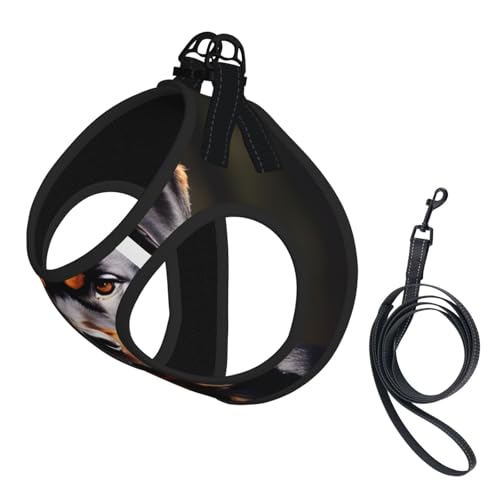 Rottweiler Welpengeschirr, Hundegeschirr und Leine, Set aus weichem Netzgewebe, reflektierend, atmungsaktiv, leicht, Westenstil Rottweiler Welpengeschirr, Hundegeschirr und Leine, Set aus weichem Netzgewebe, reflektierend, atmungsaktiv, leicht, Westenstil von RRSZCC