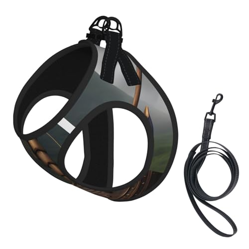Vikings Welpengeschirr, Hundegeschirr und Leine, Set aus weichem Netzgewebe, reflektierend, atmungsaktiv, leicht, Westenstil Vikings Welpengeschirr, Hundegeschirr und Leine, Set aus weichem Netzgewebe, reflektierend, atmungsaktiv, leicht, Westenstil von RRSZCC