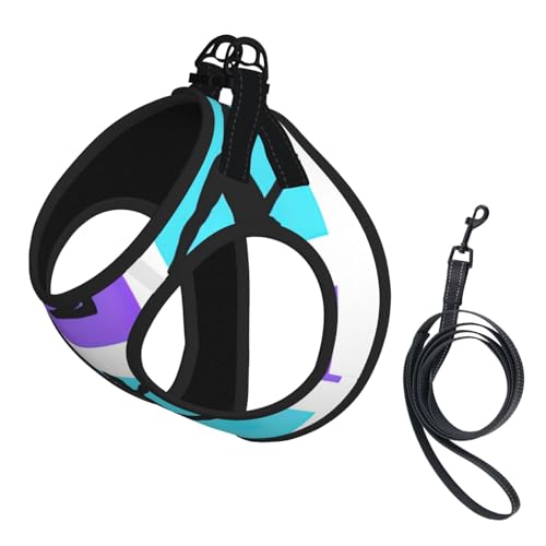 Welpengeschirr, Hundegeschirr und Leine, Set aus weichem Netzgewebe, reflektierend, atmungsaktiv, leicht, Westenstil von RRSZCC