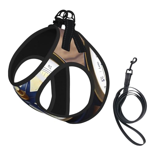 Welpengeschirr, Hundegeschirr und Leine, Set mit Segelinstrumenten, weiches Netzgewebe, reflektierend, atmungsaktiv, leichte Weste Welpengeschirr, Hundegeschirr und Leine, Set mit Segelinstrumenten, weiches Netzgewebe, reflektierend, atmungsaktiv, leichte Weste von RRSZCC