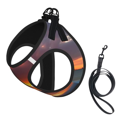 Welpengeschirr, Hundegeschirr und Leine, Set mit Sonnenuntergang am Strand, weiches Netzgewebe, reflektierend, atmungsaktiv, leichte Weste von RRSZCC