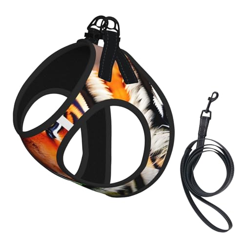 Welpengeschirr, Hundegeschirr und Leine, Set mit Tigerstreifen, weiches Netzgewebe, reflektierend, atmungsaktiv, leicht, Orange Welpengeschirr, Hundegeschirr und Leine, Set mit Tigerstreifen, weiches Netzgewebe, reflektierend, atmungsaktiv, leicht, Orange von RRSZCC