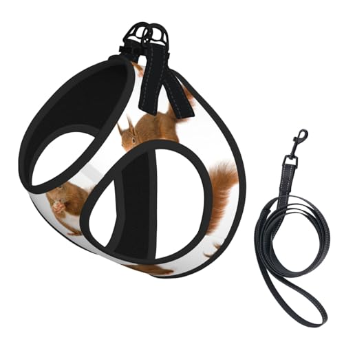 Welpengeschirr, Hundegeschirr und Leine, Set mit süßem Eichhörnchen-Druck, weiches Netzgewebe, reflektierend, atmungsaktiv, leicht, Westen-Stil von RRSZCC
