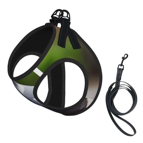 Welpengeschirr, Hundegeschirr und Leine, weiches Netzgewebe, reflektierend, atmungsaktiv, leicht, Grau Welpengeschirr, Hundegeschirr und Leine, weiches Netzgewebe, reflektierend, atmungsaktiv, leicht, Grau von RRSZCC