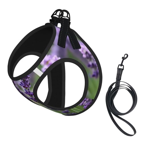 Welpengeschirr, Hundegeschirr und Leine, weiches Netzgewebe, reflektierend, atmungsaktiv, leicht, Violett mit Lavendel Welpengeschirr, Hundegeschirr und Leine, weiches Netzgewebe, reflektierend, atmungsaktiv, leicht, Violett mit Lavendel von RRSZCC
