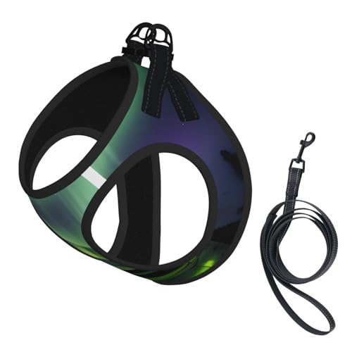 Welpengeschirr, Hundegeschirr und Leine, weiches Netzgewebe, reflektierend, atmungsaktiv, leichte Weste von RRSZCC