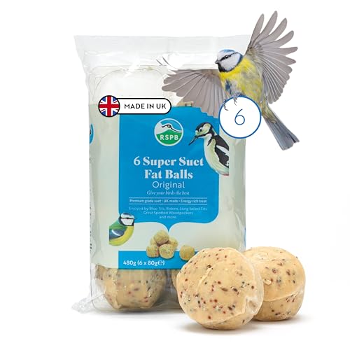 RSPB - Meisenknödel für Wildvögel, energiereiches Futter, Meisenknödel für Wildvögel, hergestellt in Großbritannien, geeignet für die Ganzjahresfütterung (6er Pack) von RSPB