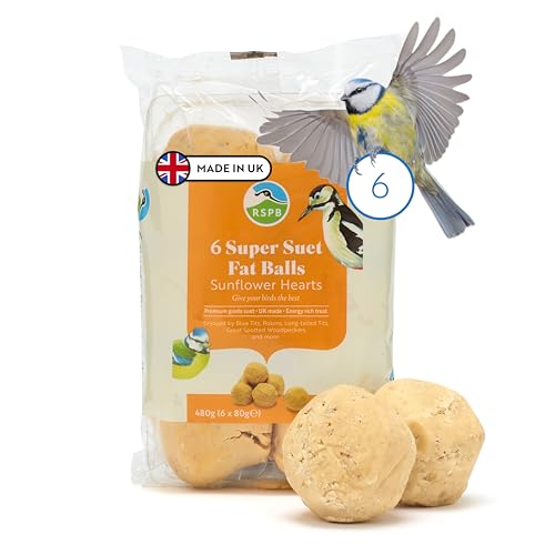 RSPB - Meisenknödel für Wildvögel, energiereiches Futter, Meisenknödel für Wildvögel mit Sonnenblumenherzen, hergestellt in Großbritannien, geeignet für die Ganzjahresfütterung (6er Pack) von RSPB