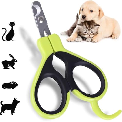 Haustier-Nagelknipser – Katzenkrallenzange für Kaninchen, Welpen, Kätzchen, Kätzchen, Meerschweinchen, kleine Hunde, scharf, sicher, kratzfest, Grün Haustier-Nagelknipser – Katzenkrallenzange für Kaninchen, Welpen, Kätzchen, Kätzchen, Meerschweinchen, kleine Hunde, scharf, sicher, kratzfest, Grün von RSYHVG