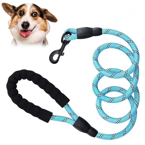 Retrieverleine für mittelgroße Hunde, 1,8 m, reflektierend, mit weich gepolstertem Griff, zum Hineinschlüpfen, Nylon-Leine für Training/Spazierengehen, Blau Retrieverleine für mittelgroße Hunde, 1,8 m, reflektierend, mit weich gepolstertem Griff, zum Hineinschlüpfen, Nylon-Leine für Training/Spazierengehen, Blau von RSYHVG