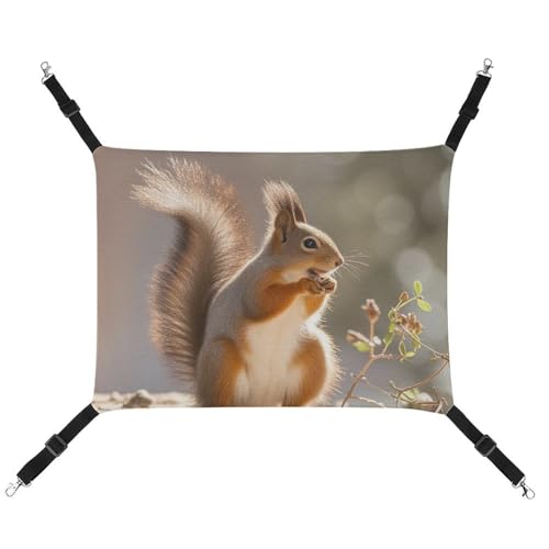 RTFGHJS Hängende Haustier-Hängematte für Käfig, weich, atmungsaktiv, Eichhörnchen, lustiges Tierkäfigbett mit Metallhaken, für kleine Haustiere, Schlafunterlage für Katzen, Hunde, Kaninchen, andere von RTFGHJS