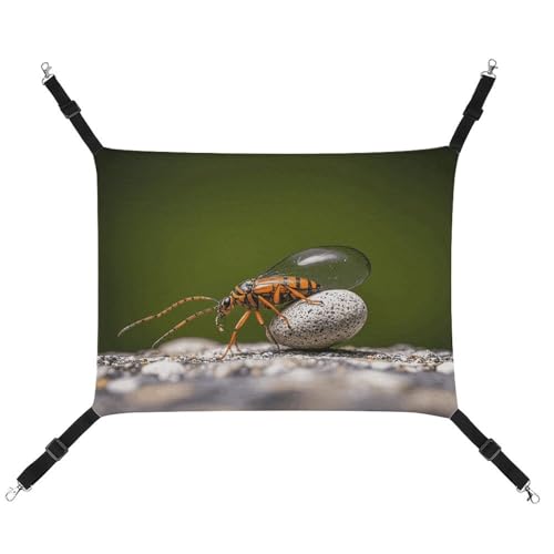 RTFGHJS Hängende Haustier-Hängematte für Käfig, weich, atmungsaktiv, Felsen und Insekten, Haustierkäfigbett mit Metallhaken, für kleine Haustiere, Schlafunterlage für Katzen, Hunde, Kaninchen, andere RTFGHJS Hängende Haustier-Hängematte für Käfig, weich, atmungsaktiv, Felsen und Insekten, Haustierkäfigbett mit Metallhaken, für kleine Haustiere, Schlafunterlage für Katzen, Hunde, Kaninchen, andere von RTFGHJS