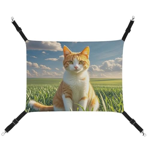 RTFGHJS Hängende Haustier-Hängematte für Käfig, weich, atmungsaktiv, Katze, sitzend auf grünem Feld, Haustierkäfigbett mit Metallhaken, für kleine Haustiere, ruhende Schlafunterlage für Katzen, Hunde, von RTFGHJS