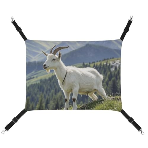 RTFGHJS Hängende Haustier-Hängematte für Käfig, weich, atmungsaktiv, Katze auf dem Berggipfel, Haustierkäfigbett mit Metallhaken, für kleine Haustiere, Schlafunterlage für Katzen, Hunde, Kaninchen, RTFGHJS Hängende Haustier-Hängematte für Käfig, weich, atmungsaktiv, Katze auf dem Berggipfel, Haustierkäfigbett mit Metallhaken, für kleine Haustiere, Schlafunterlage für Katzen, Hunde, Kaninchen, von RTFGHJS