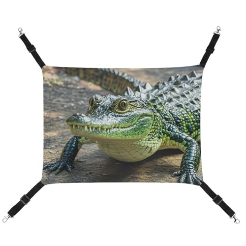 RTFGHJS Hängende Haustier-Hängematte für Käfig, weich, atmungsaktiv, Krokodilgrün, Haustierkäfigbett mit Metallhaken, für kleine Haustiere, Schlafunterlage für Katzen, Hunde, Kaninchen, andere von RTFGHJS