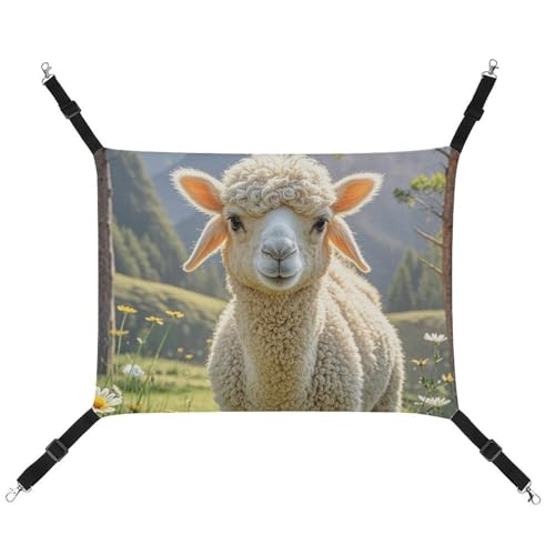 RTFGHJS Hängende Haustier-Hängematte für Käfig, weich, atmungsaktiv, Lammkäfigbett mit Metallhaken, für kleine Haustiere, Schlafunterlage für Katzen, Hunde, Kaninchen, andere Kleintiere RTFGHJS Hängende Haustier-Hängematte für Käfig, weich, atmungsaktiv, Lammkäfigbett mit Metallhaken, für kleine Haustiere, Schlafunterlage für Katzen, Hunde, Kaninchen, andere Kleintiere von RTFGHJS