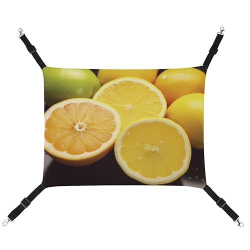 RTFGHJS Hängende Haustier-Hängematte für Käfig, weich, atmungsaktiv, Obst, Zitrone, Haustierkäfigbett mit Metallhaken, für kleine Haustiere, Schlafunterlage für Katzen, Hunde, Kaninchen, andere RTFGHJS Hängende Haustier-Hängematte für Käfig, weich, atmungsaktiv, Obst, Zitrone, Haustierkäfigbett mit Metallhaken, für kleine Haustiere, Schlafunterlage für Katzen, Hunde, Kaninchen, andere von RTFGHJS