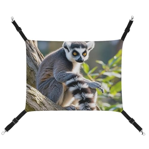 RTFGHJS Hängende Haustier-Hängematte für Käfig, weich, atmungsaktiv, Ringschwanz, Lemur, Haustierkäfigbett mit Metallhaken, für kleine Haustiere, Schlafunterlage für Katzen, Hunde, Kaninchen, andere RTFGHJS Hängende Haustier-Hängematte für Käfig, weich, atmungsaktiv, Ringschwanz, Lemur, Haustierkäfigbett mit Metallhaken, für kleine Haustiere, Schlafunterlage für Katzen, Hunde, Kaninchen, andere von RTFGHJS