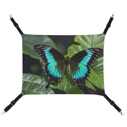 RTFGHJS Hängende Haustier-Hängematte für Käfig, weich, atmungsaktiv, Schmetterlings-Nachtkäfig-Bett mit Metallhaken, für kleine Haustiere, Schlafunterlage für Katzen, Hunde, Kaninchen, andere von RTFGHJS