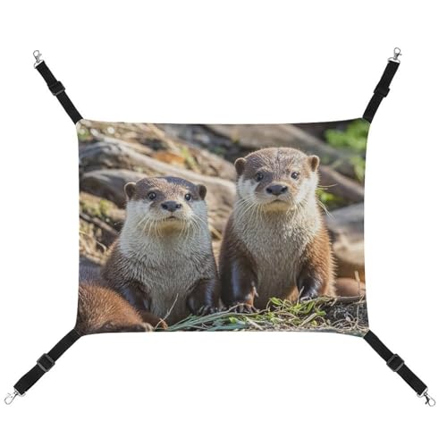 RTFGHJS Hängende Haustier-Hängematte für Käfig, weich, atmungsaktiv, Tier, niedlich, braun, mit Metallhaken, für kleine Haustiere, Schlafunterlage für Katzen, Hunde, Kaninchen, andere Kleintiere RTFGHJS Hängende Haustier-Hängematte für Käfig, weich, atmungsaktiv, Tier, niedlich, braun, mit Metallhaken, für kleine Haustiere, Schlafunterlage für Katzen, Hunde, Kaninchen, andere Kleintiere von RTFGHJS