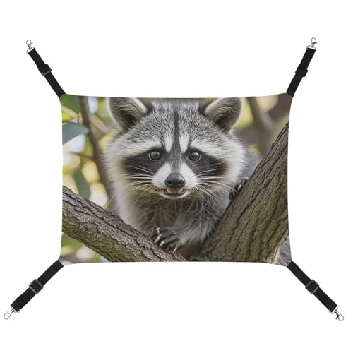 RTFGHJS Hängende Haustier-Hängematte für Käfig, weich, atmungsaktiv, Waschbär, Haustierkäfigbett mit Metallhaken, für kleine Haustiere, Schlafunterlage für Katzen, Hunde, Kaninchen, andere Kleintiere RTFGHJS Hängende Haustier-Hängematte für Käfig, weich, atmungsaktiv, Waschbär, Haustierkäfigbett mit Metallhaken, für kleine Haustiere, Schlafunterlage für Katzen, Hunde, Kaninchen, andere Kleintiere von RTFGHJS