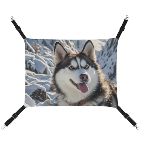 RTFGHJS Hängende Haustier-Hängematte für Käfig, weich, atmungsaktiv, bezaubernd, Huskies, Haustierkäfigbett mit Metallhaken, für kleine Haustiere, Schlafunterlage für Katzen, Hunde, Kaninchen, andere RTFGHJS Hängende Haustier-Hängematte für Käfig, weich, atmungsaktiv, bezaubernd, Huskies, Haustierkäfigbett mit Metallhaken, für kleine Haustiere, Schlafunterlage für Katzen, Hunde, Kaninchen, andere von RTFGHJS