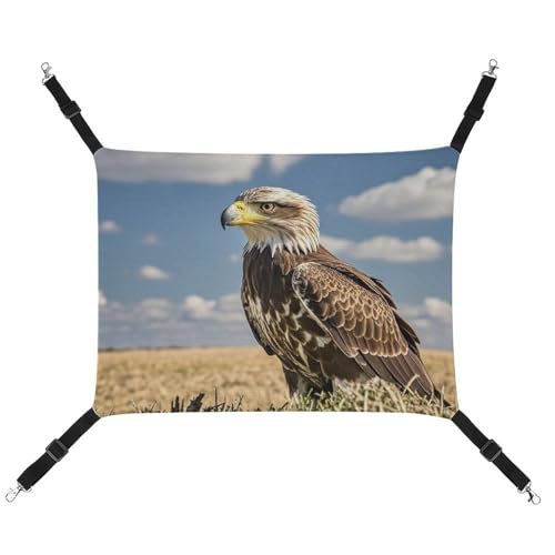 RTFGHJS Hängende Haustier-Hängematte für Käfig, weich, atmungsaktiv, ein einsamer Adler, Haustierkäfigbett mit Metallhaken, für kleine Haustiere, Schlafunterlage für Katzen, Hunde, Kaninchen, andere RTFGHJS Hängende Haustier-Hängematte für Käfig, weich, atmungsaktiv, ein einsamer Adler, Haustierkäfigbett mit Metallhaken, für kleine Haustiere, Schlafunterlage für Katzen, Hunde, Kaninchen, andere von RTFGHJS