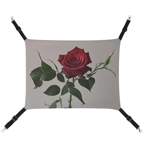 RTFGHJS Hängende Haustier-Hängematte für Käfig, weich, atmungsaktiv, eine blühende rote Rose, Haustierkäfigbett mit Metallhaken, für kleine Haustiere, Schlafunterlage für Katzen, Hunde, Kaninchen, RTFGHJS Hängende Haustier-Hängematte für Käfig, weich, atmungsaktiv, eine blühende rote Rose, Haustierkäfigbett mit Metallhaken, für kleine Haustiere, Schlafunterlage für Katzen, Hunde, Kaninchen, von RTFGHJS